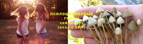 прущий лед Кострома