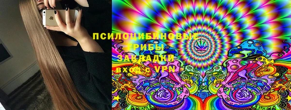 трава Магас