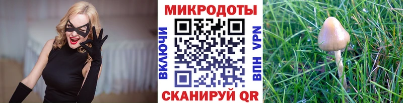 Галлюциногенные грибы Psilocybe  купить закладку  Мураши 